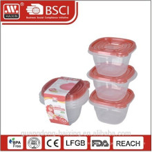 Plastic Microwave Food Container (2pcs) 0.5L